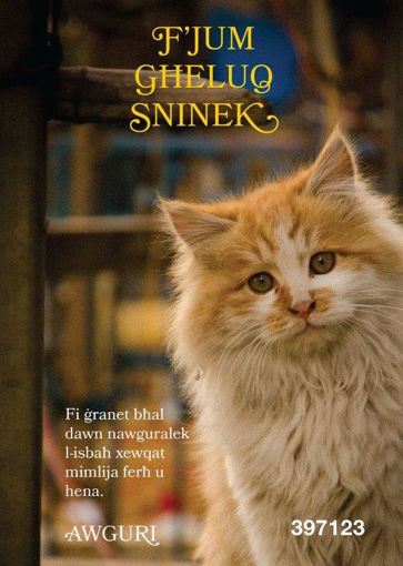 Picture of FJUM GHELUQ SNINEK KARTOLINA